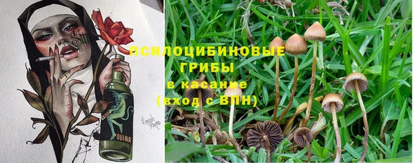трава Баксан