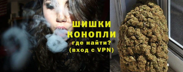 spice Арсеньев