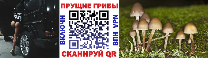 MEGA ССЫЛКА Ивдель Галлюциногенные грибы ЛСД